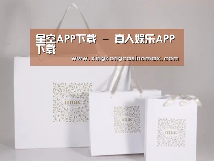 项目名称十一