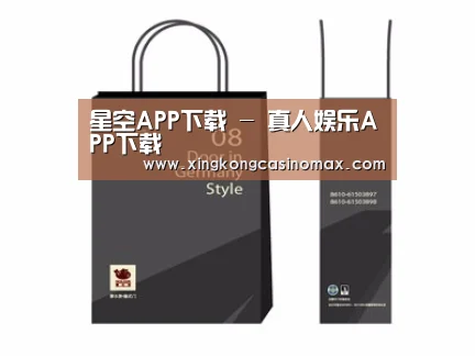 项目名称十四