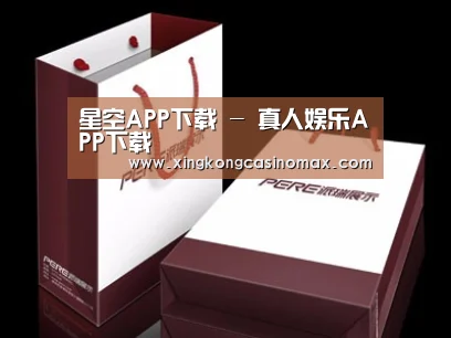 项目名称十二