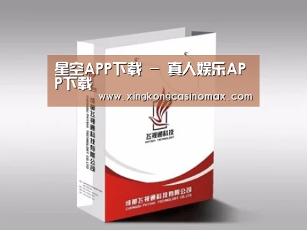 项目名称十三