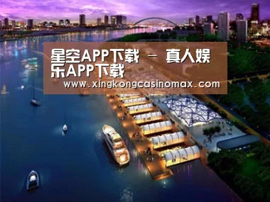 案例展示八
