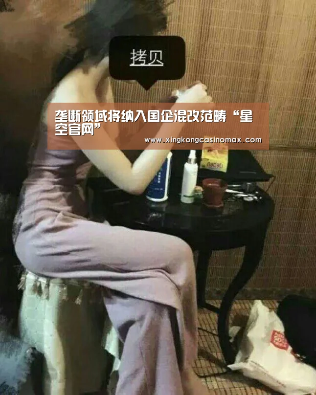 垄断领域将纳入国企混改范畴“星空官网”(图1) 星空APP