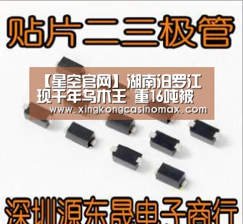 【星空官网】湖南汨罗江现千年乌木王 重16吨被埋至少3000年(图1) 星空下载
